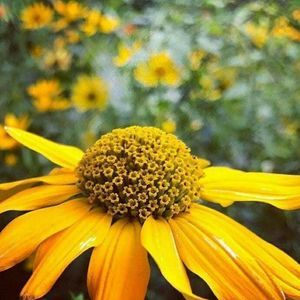 Meet your Posher, Stacey